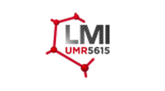 LMI - Laboratoire des Multimatériaux et Interfaces 